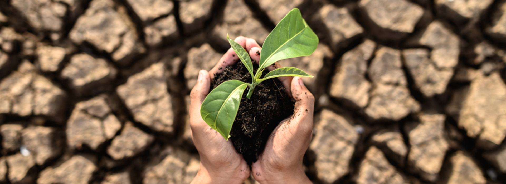 I pledge to protect our environment and save our climate.