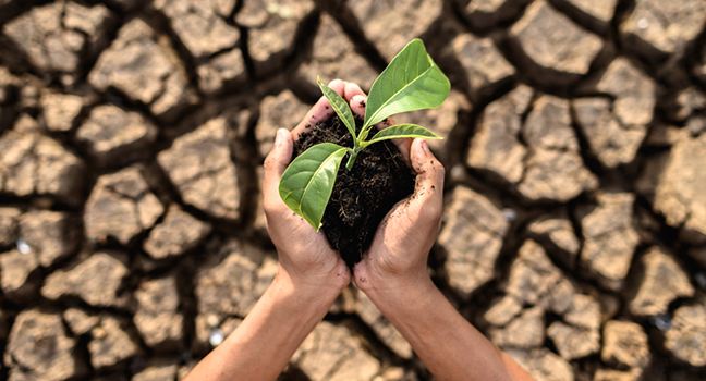 I pledge to protect our environment and save our climate.